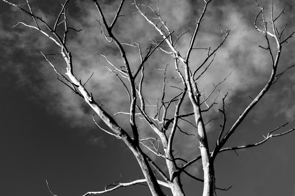 Photograph by Алексей Безгодько