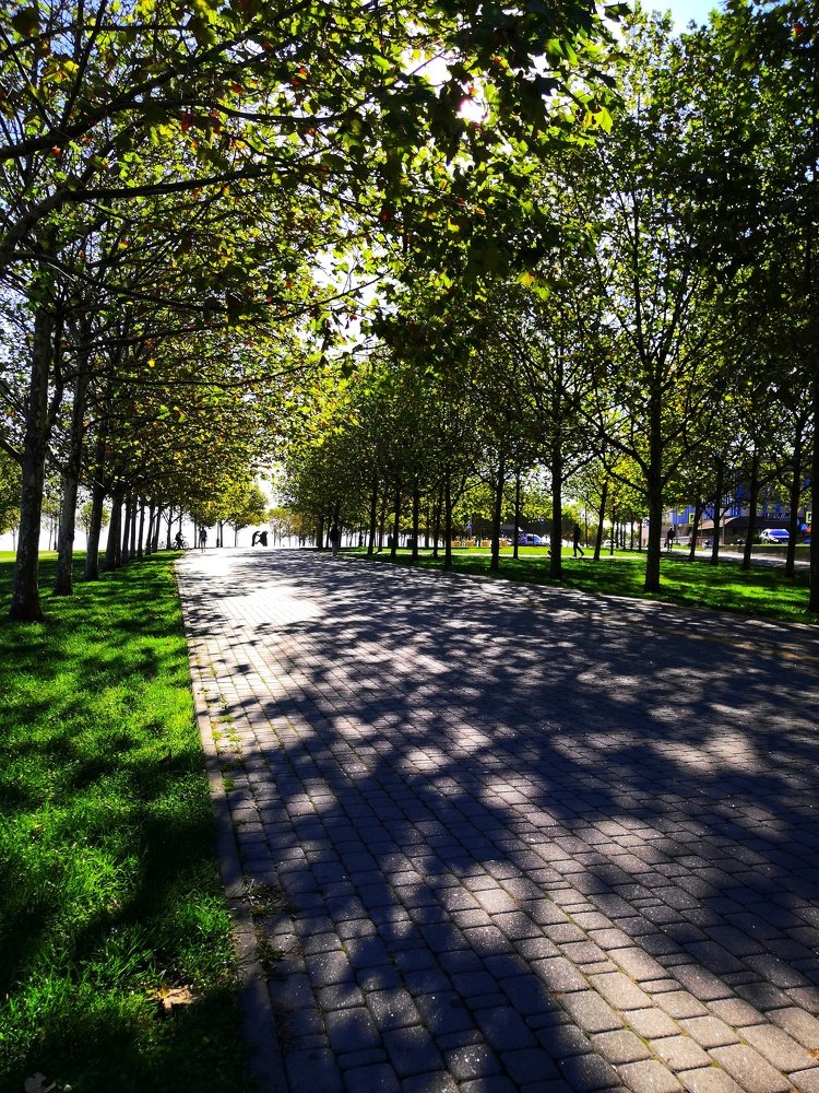 Photograph by Виктория Федосеенко