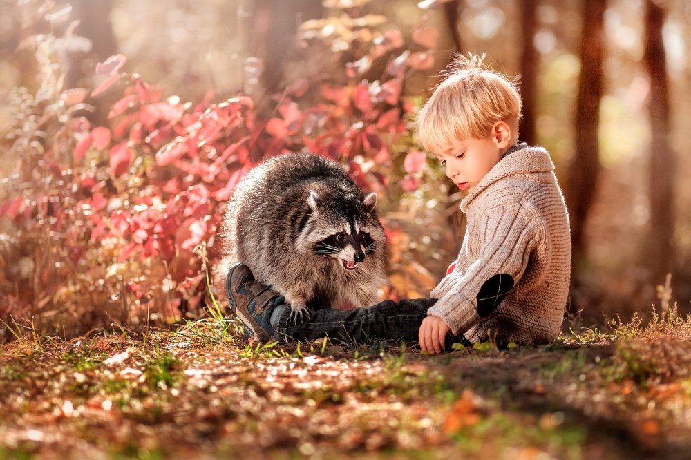 Photograph by Iryna Petrenko