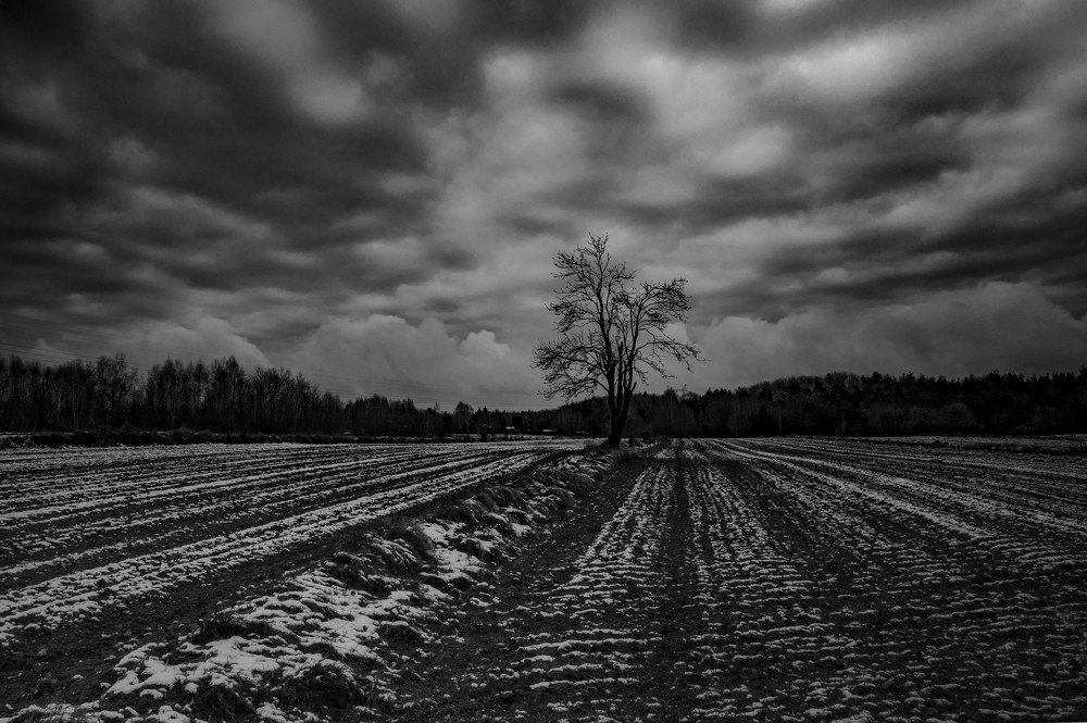 Photograph by Agnieszka Szadowiak