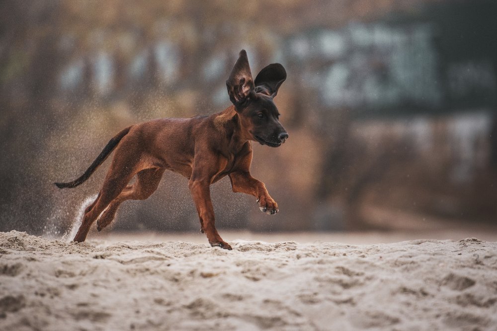 Photograph by Виола Поликарпова