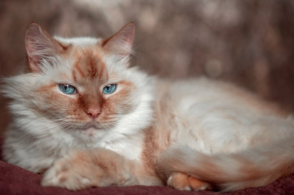 Photograph by Iryna Petrenko