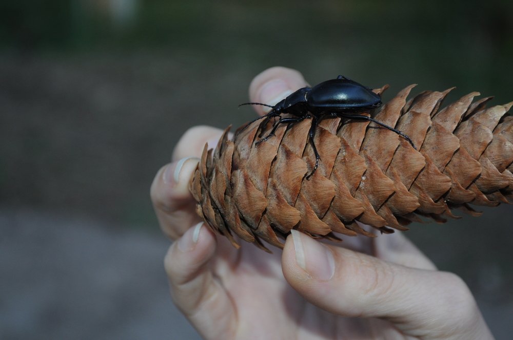 Photograph by Дмитрий Шарый