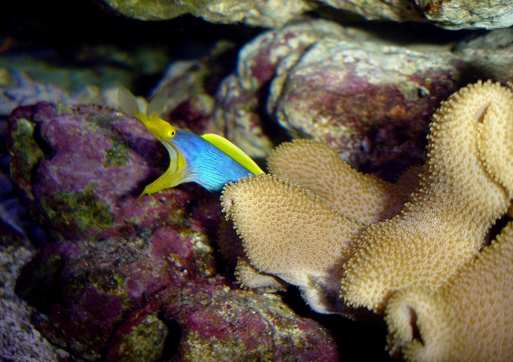 Photograph by Филиппов Олег