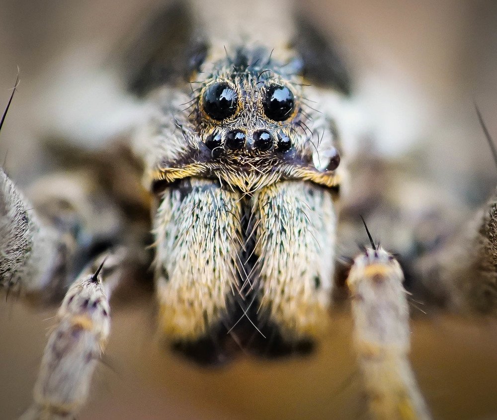 Photograph by Karina Elena Bergagna