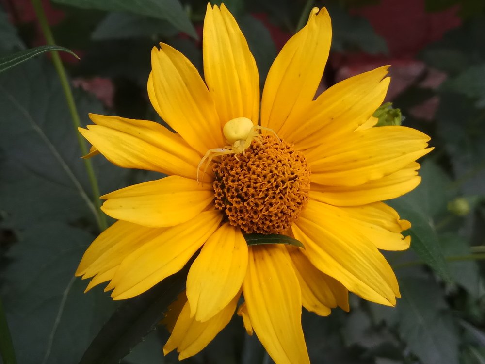 Photograph by Дмитрий Шарый