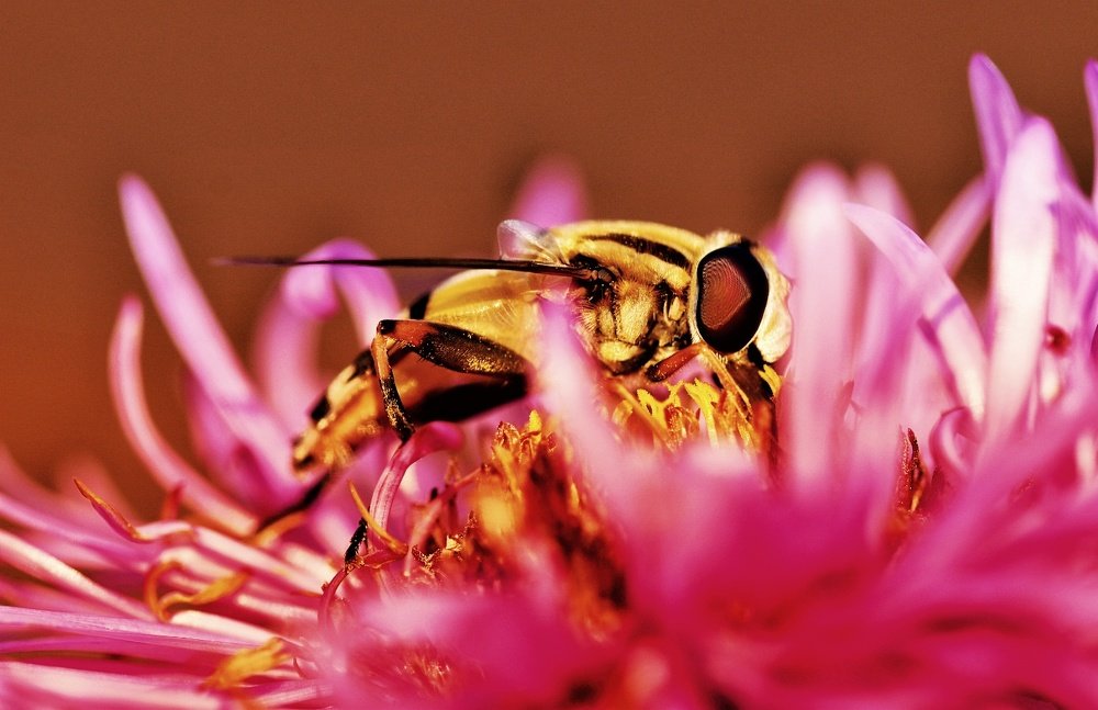 Photograph by Eva Minßen