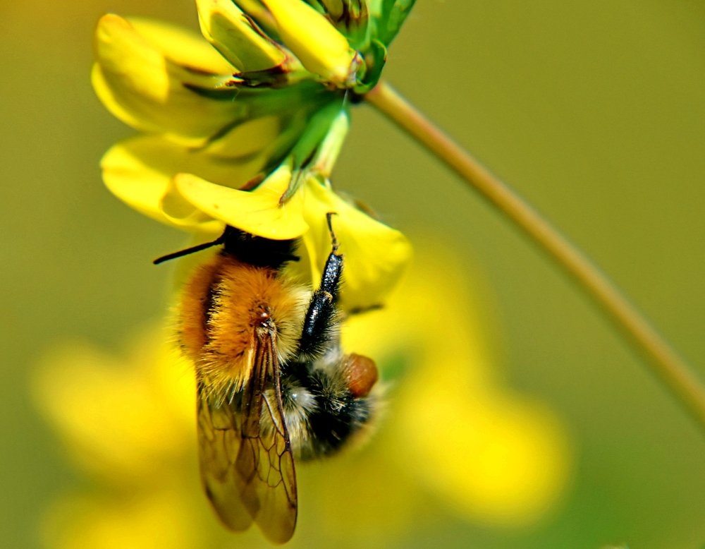 Photograph by Eva Minßen