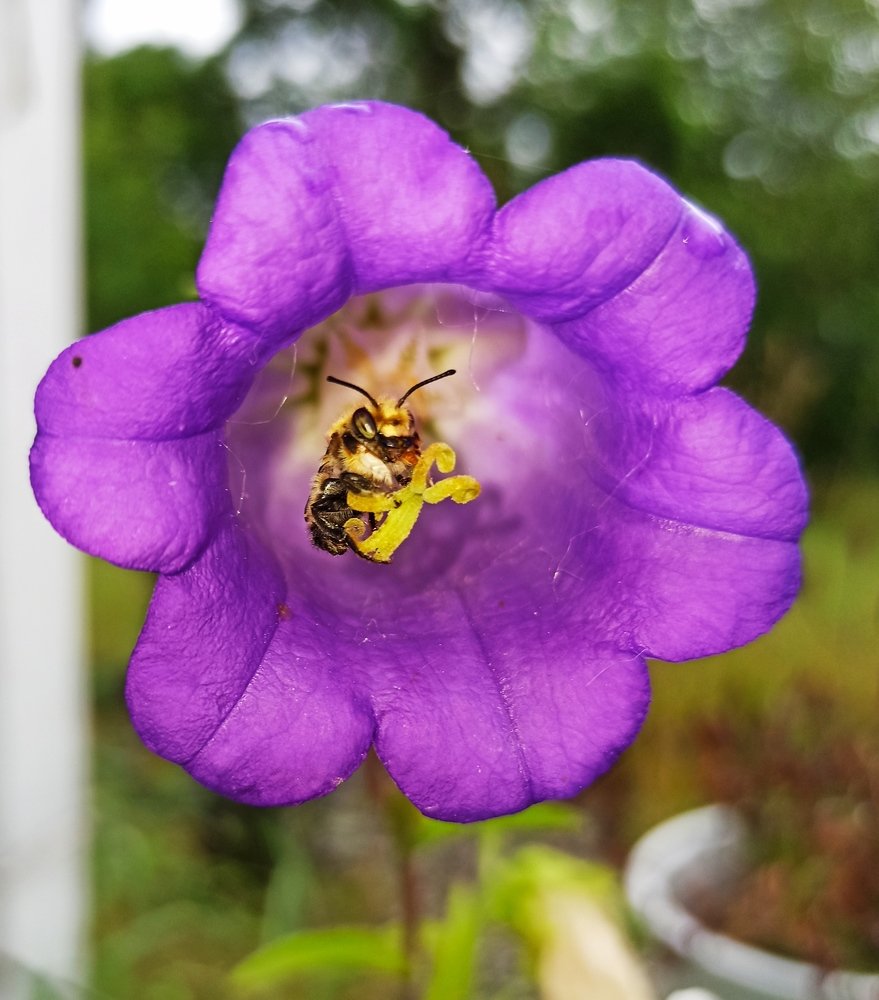 Photograph by Eva Minßen