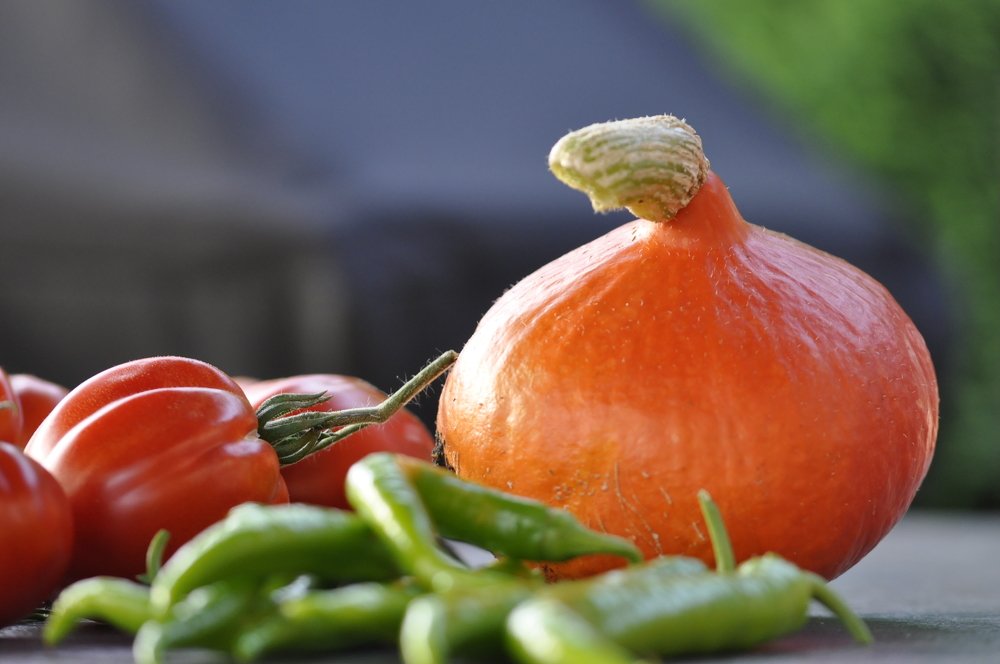 Photograph by Eva Minßen