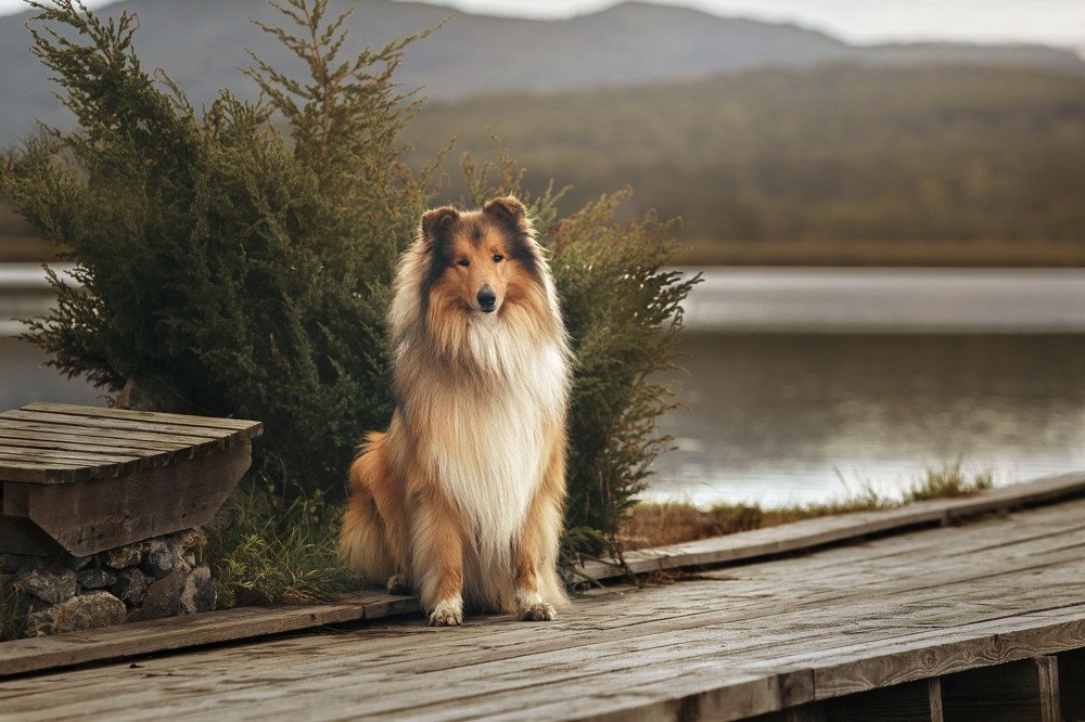 Photograph by СВЕТЛАНА ГРАЧЕВА