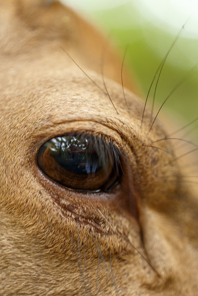 Photograph by Veronika Trubnikova