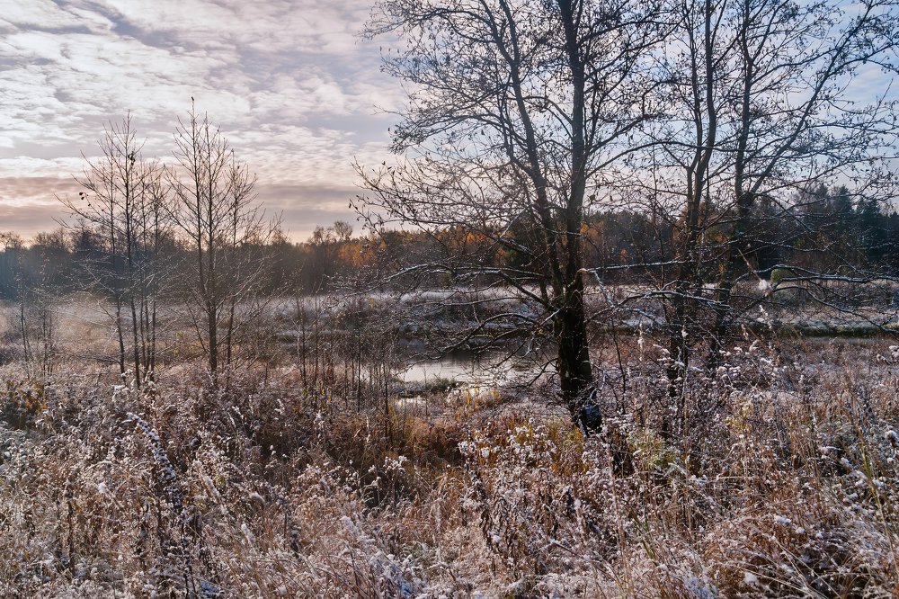 Photograph by Галина Царькова