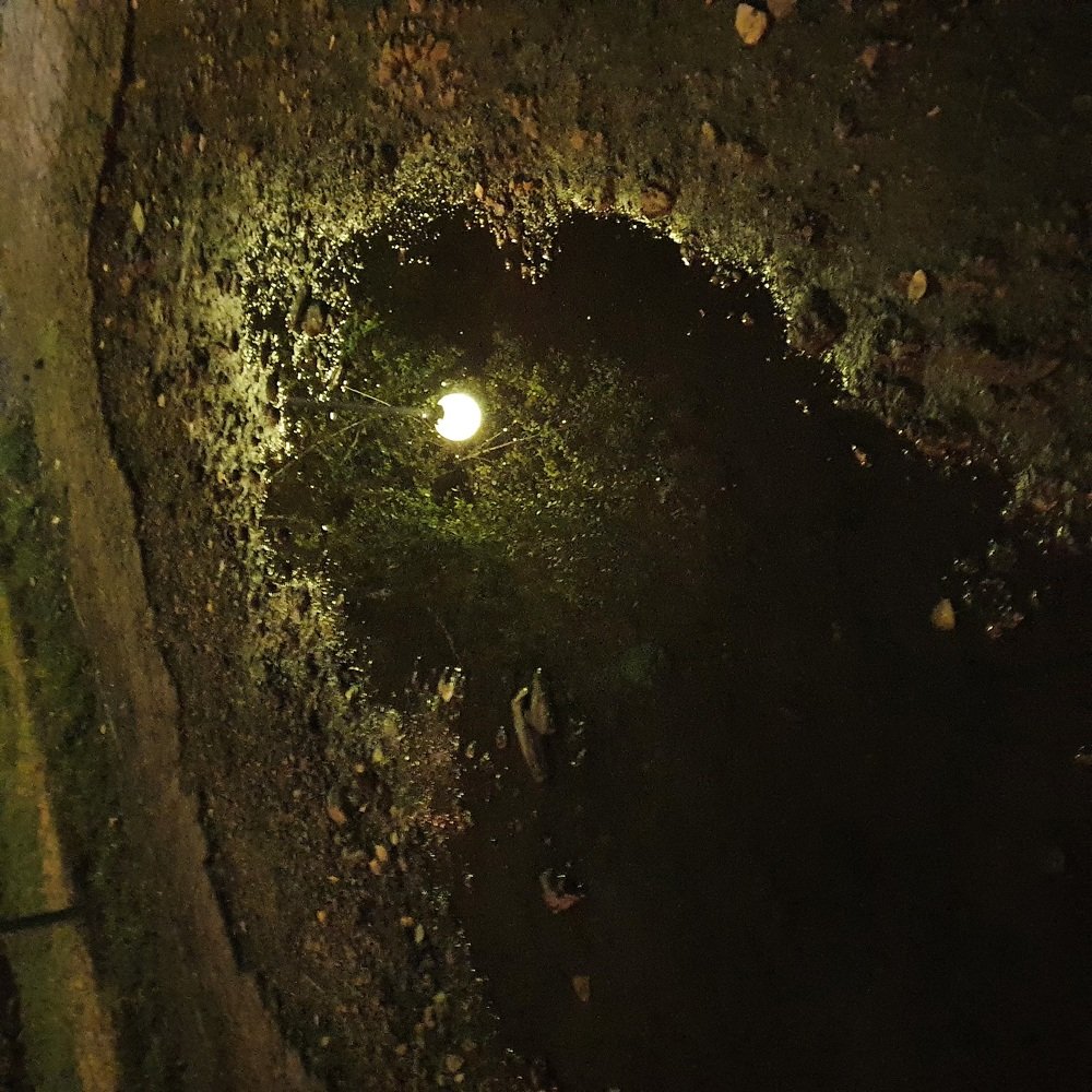 Photograph by Евгения Тупик