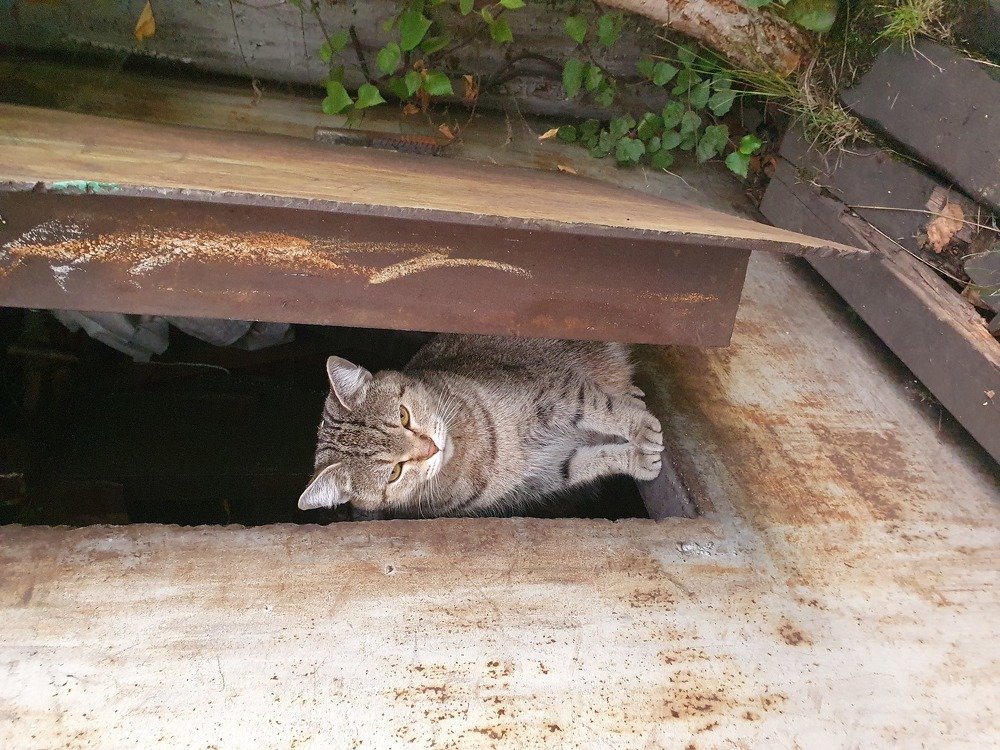 Photograph by Евгения Тупик