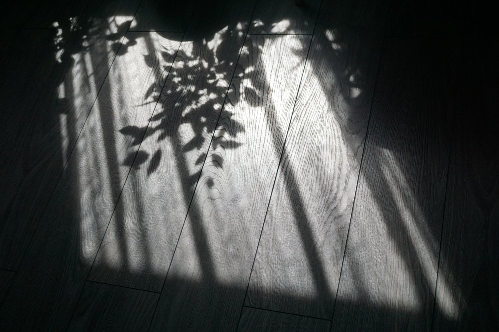 Photograph by Ксения Леонова