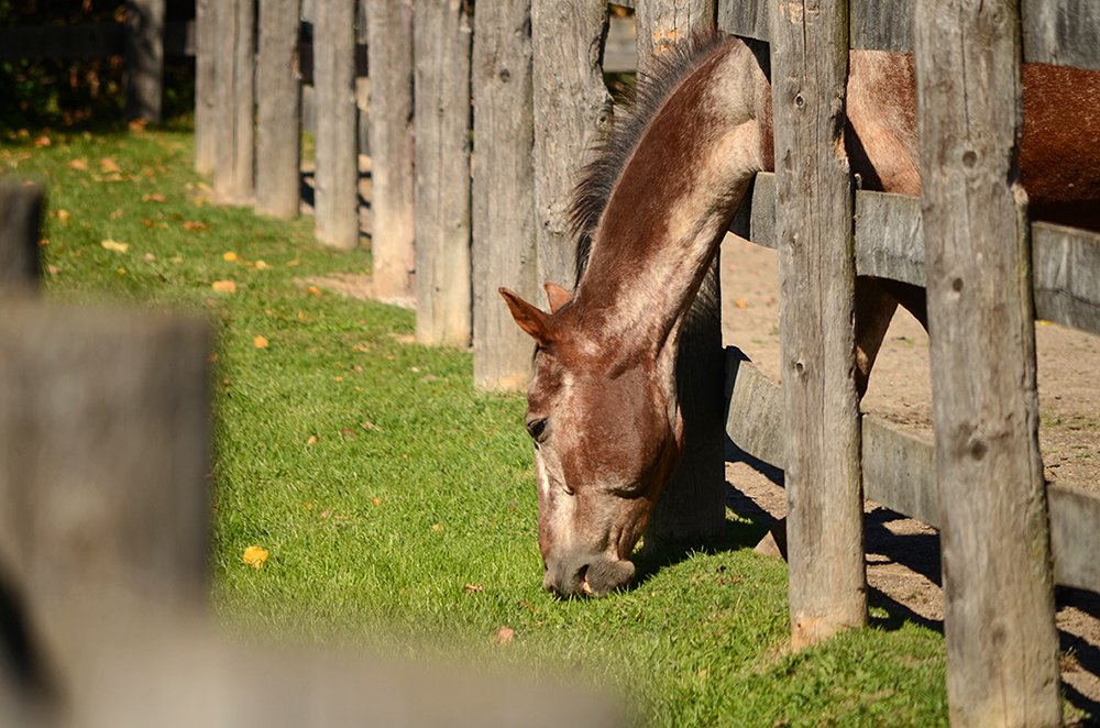 Photograph by Liliana Grup