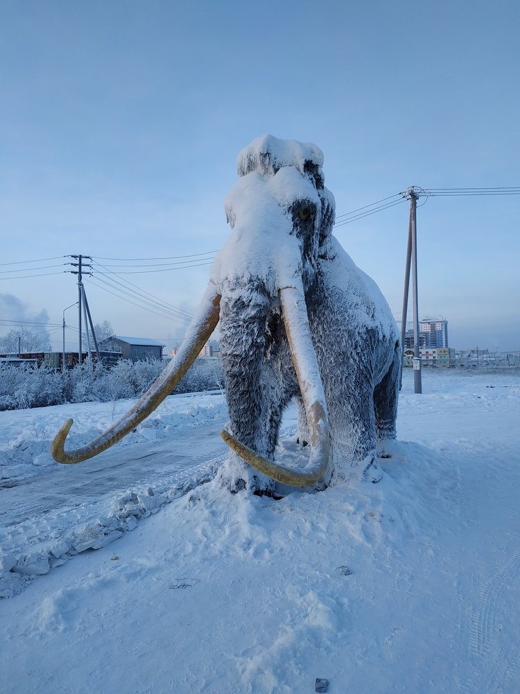 Идущий сквозь века