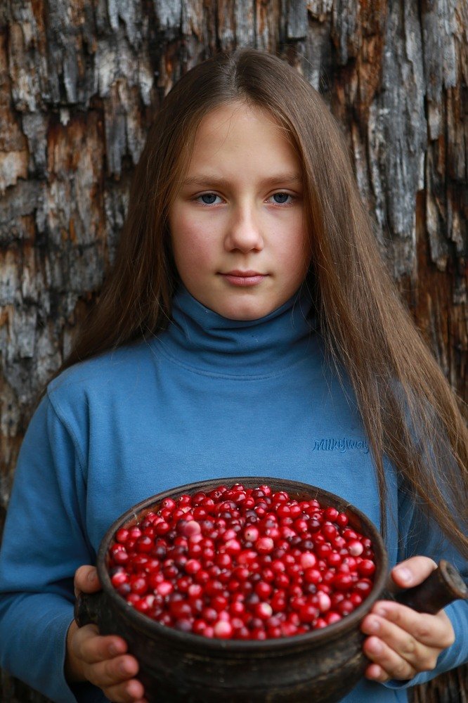 Время собирать клюкву!