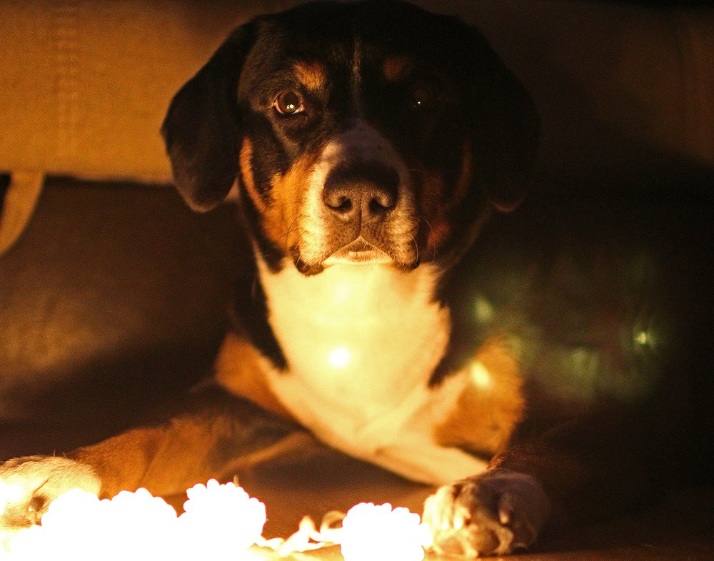 Photograph by Наталья Васина