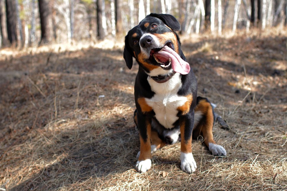 Photograph by Наталья Васина