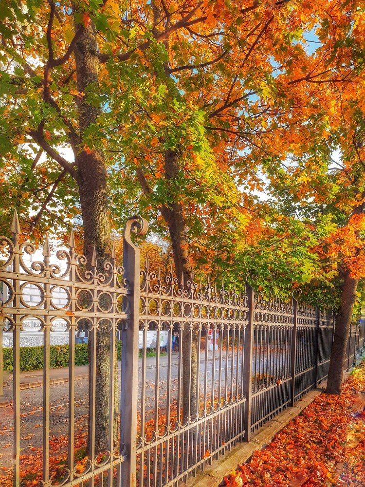 Photograph by Игорь