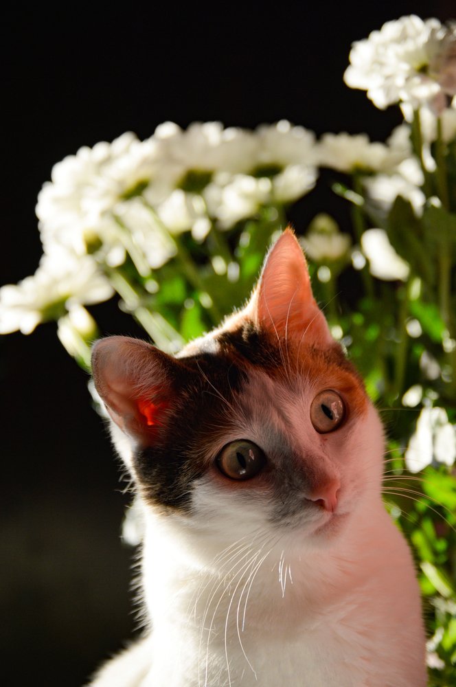 Photograph by Арина Егина