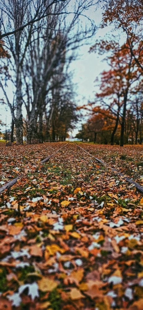 Photograph by Николай Авраменко