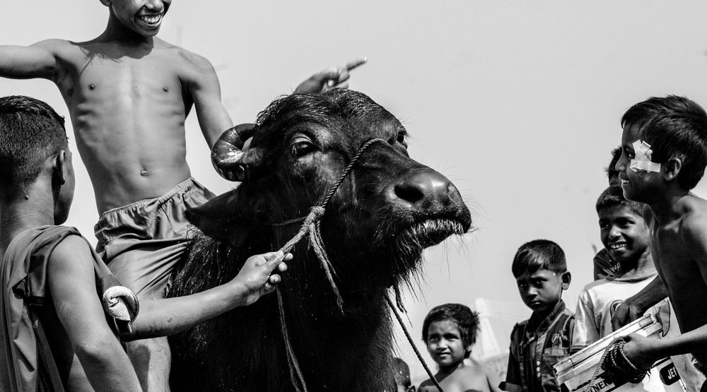 Photograph by MD DIDARUL ALAM CHY