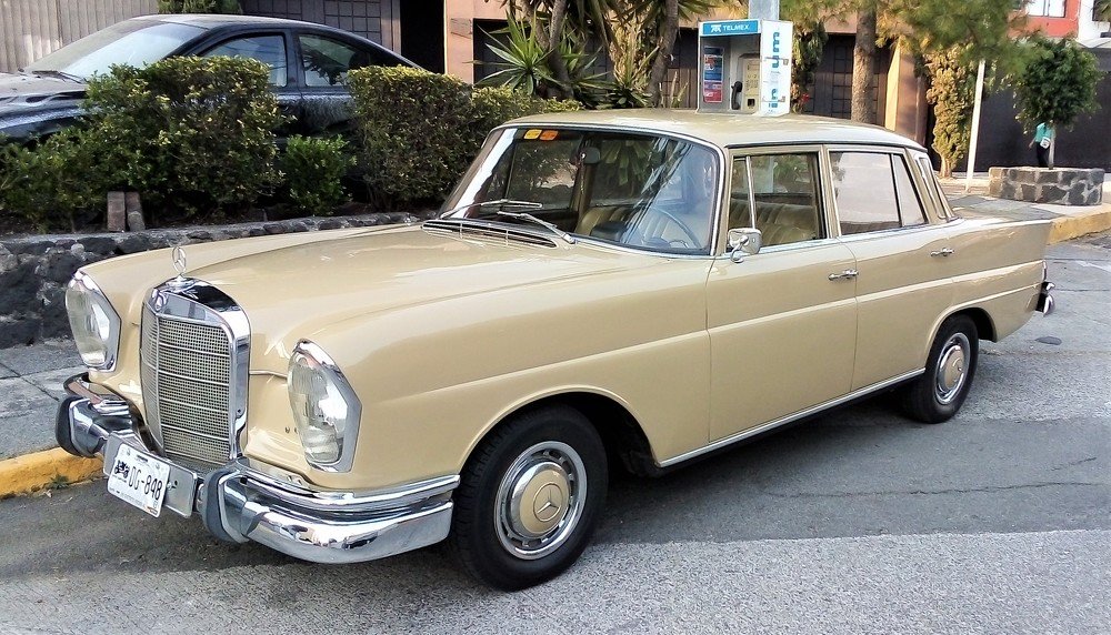 Photograph by José Luis Mendoza Machado