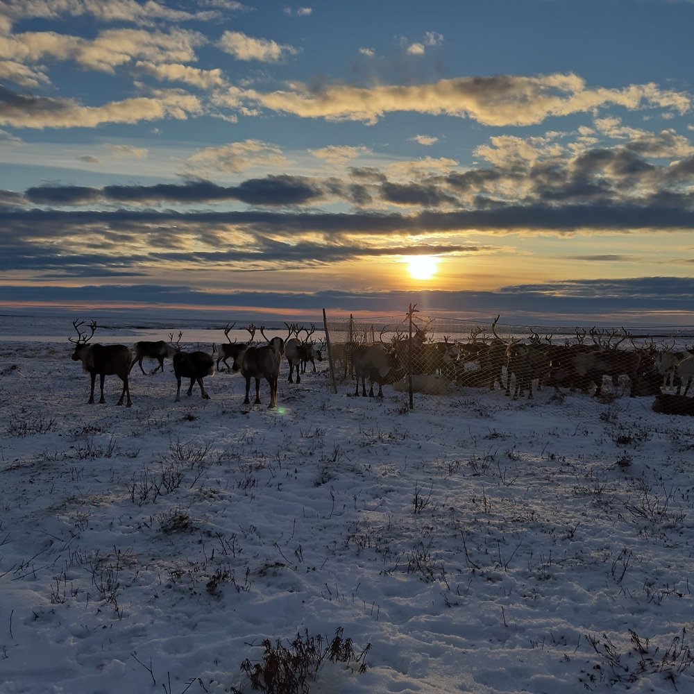 Photo #5311772