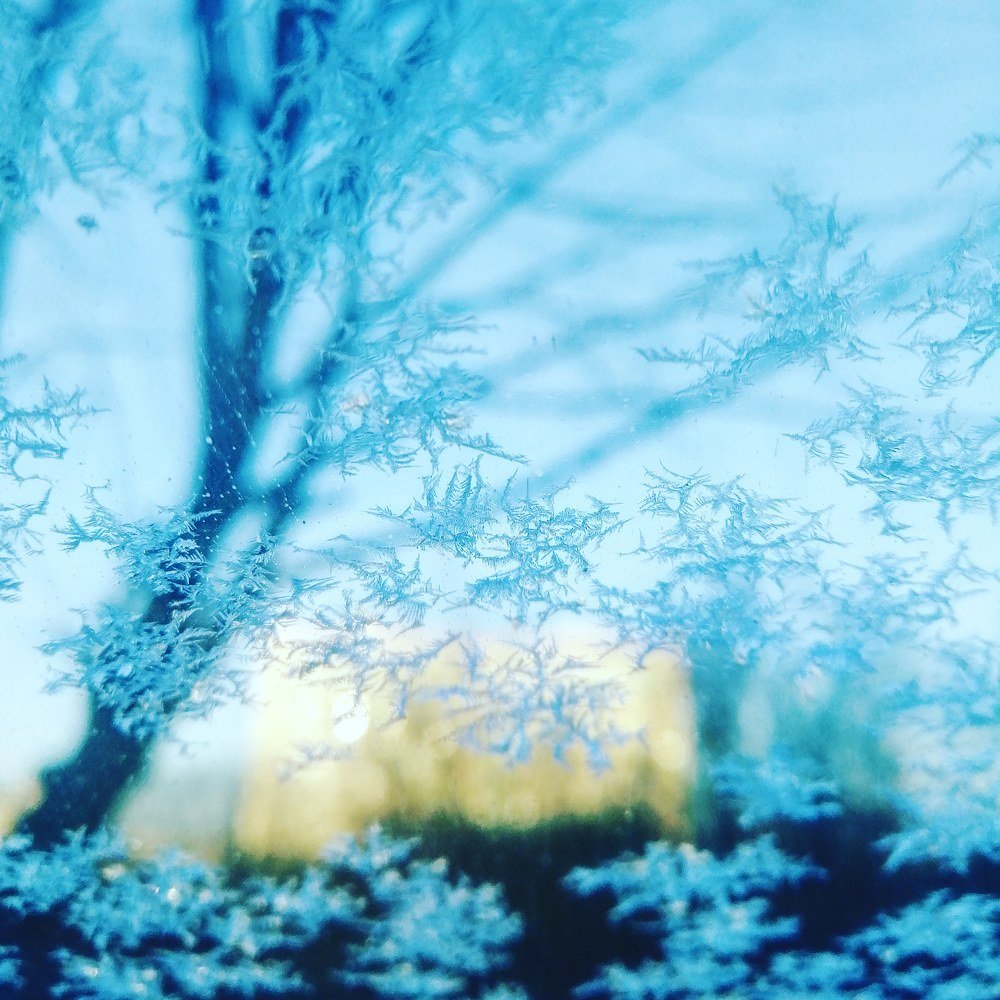 Photograph by Элина Лысенко