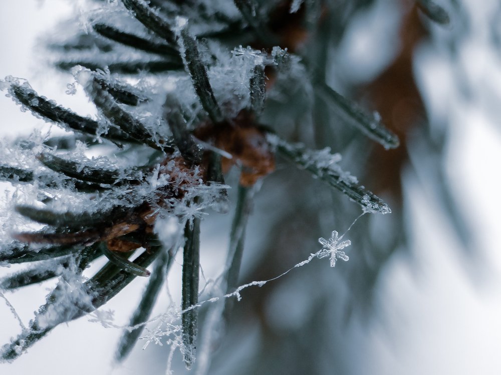 Photograph by Алексей Безгодько