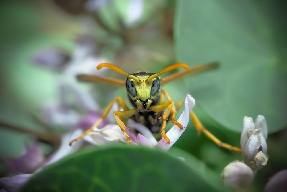 Photograph by Александр Варакин