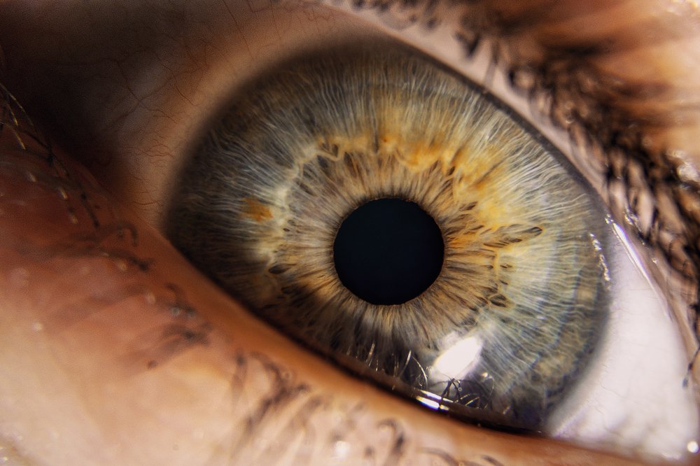 Photograph by Сергей Калинин