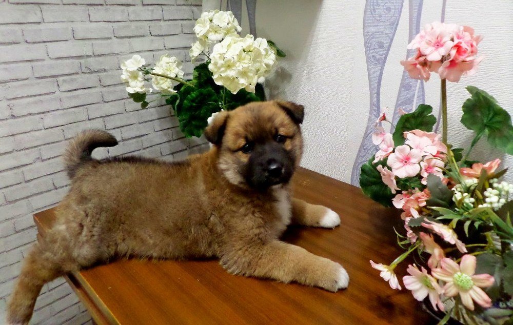 Photo #5311916