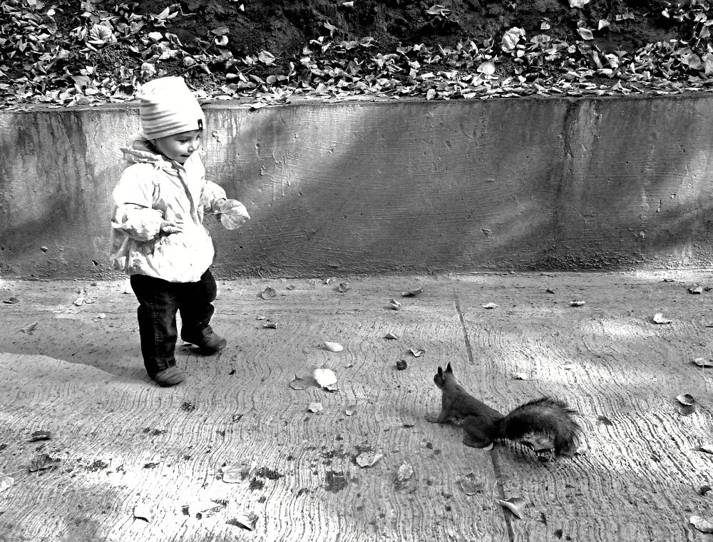 Фотография автора Клавдия Васильева