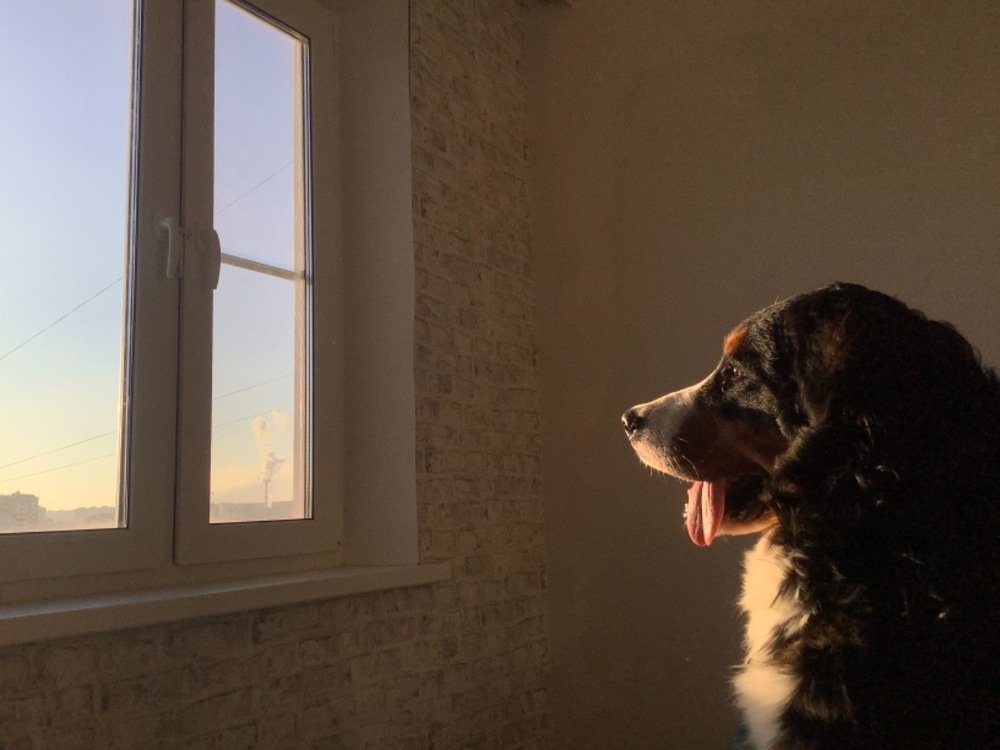 Первый снег