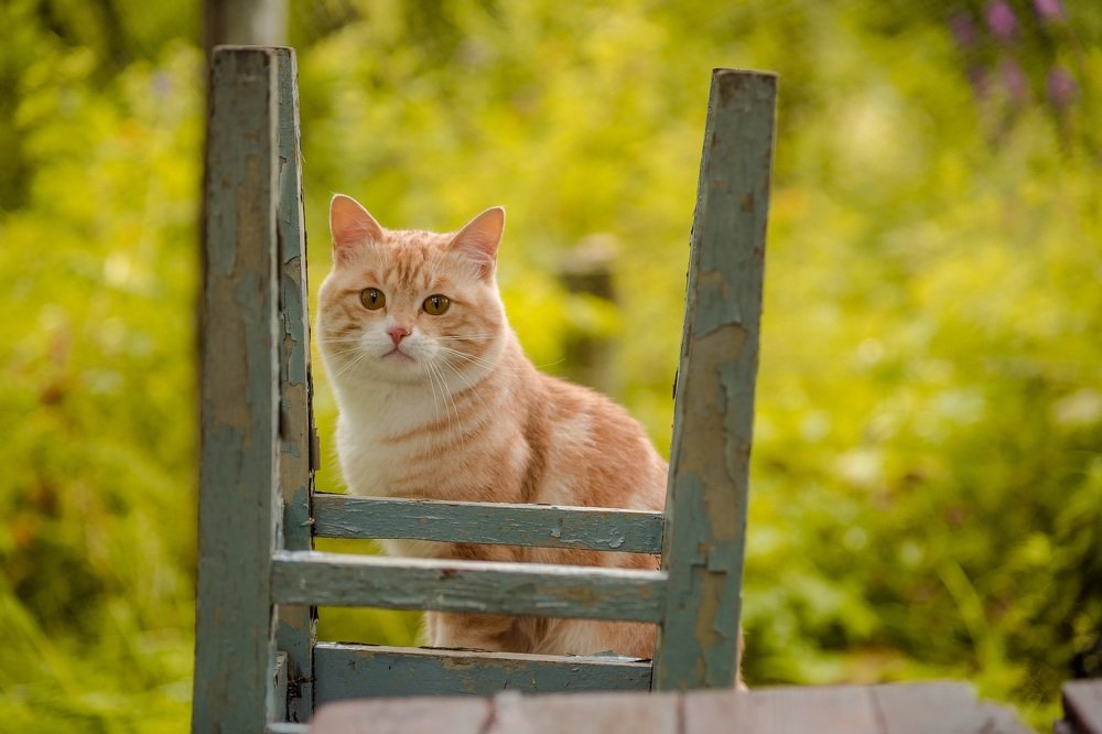 Photograph by Алексей Ознобихин