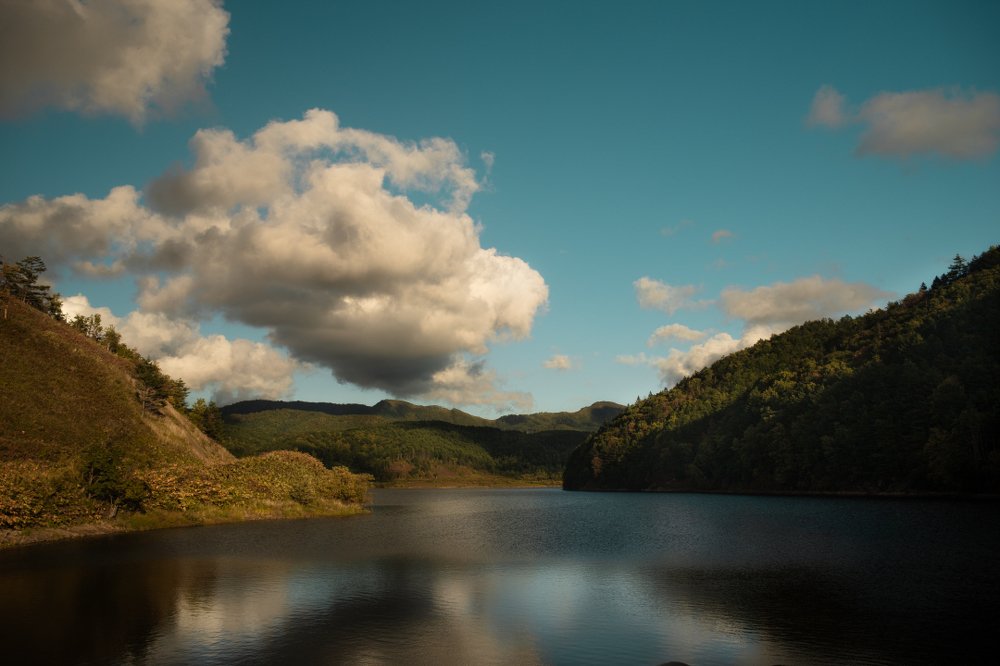 Photograph by Инна Гурьянова