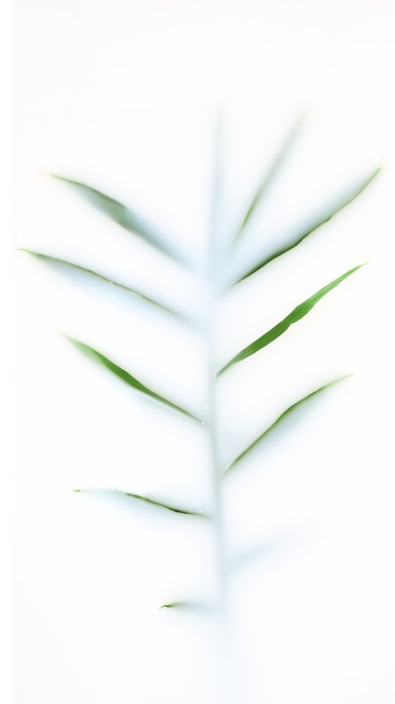 Photograph by Александр Гамалеев