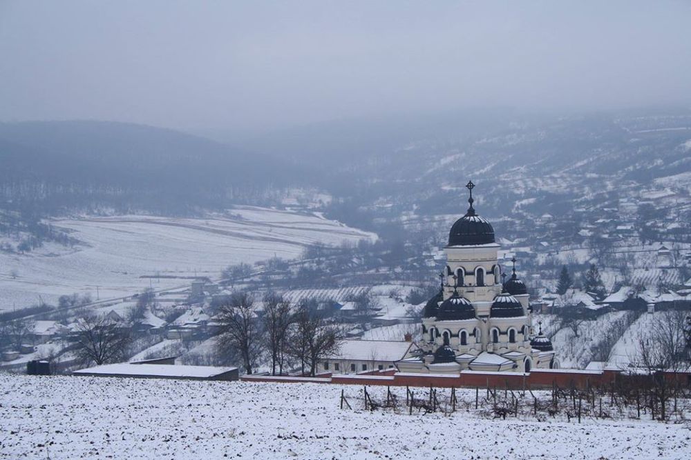 Photograph by Alexandr Dimitrov