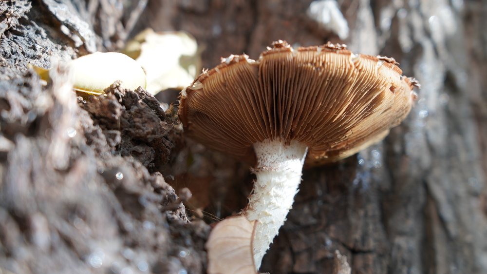 Photograph by Клоди Власова