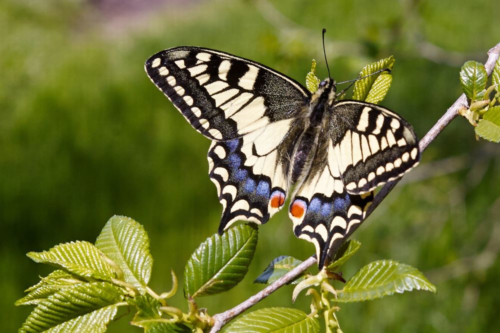 Photograph by Александр Пугачев