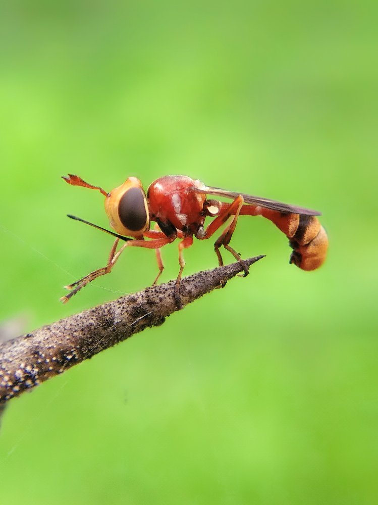 Photograph by Faiyal Ahmed