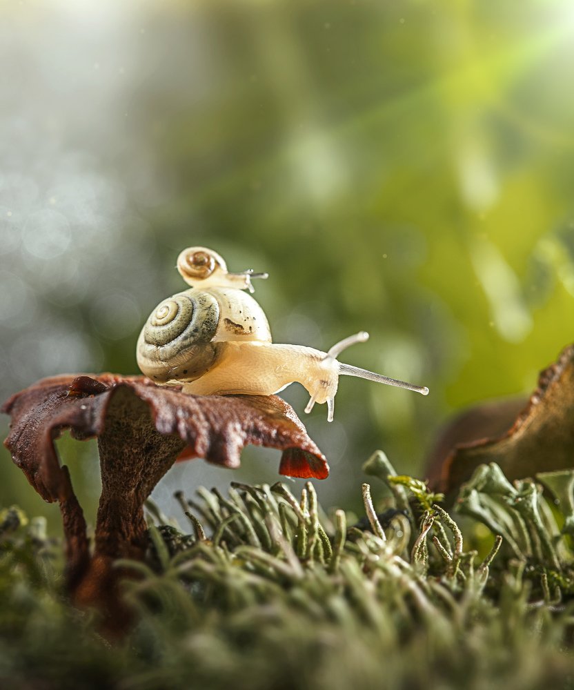 Photograph by Йоко Смирнова