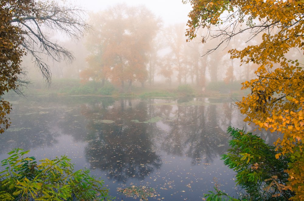 Photograph by Oleksii Konchenko