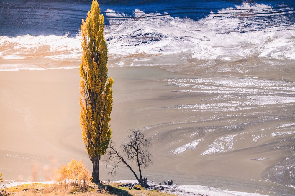 Фотография автора Катерина Осташева