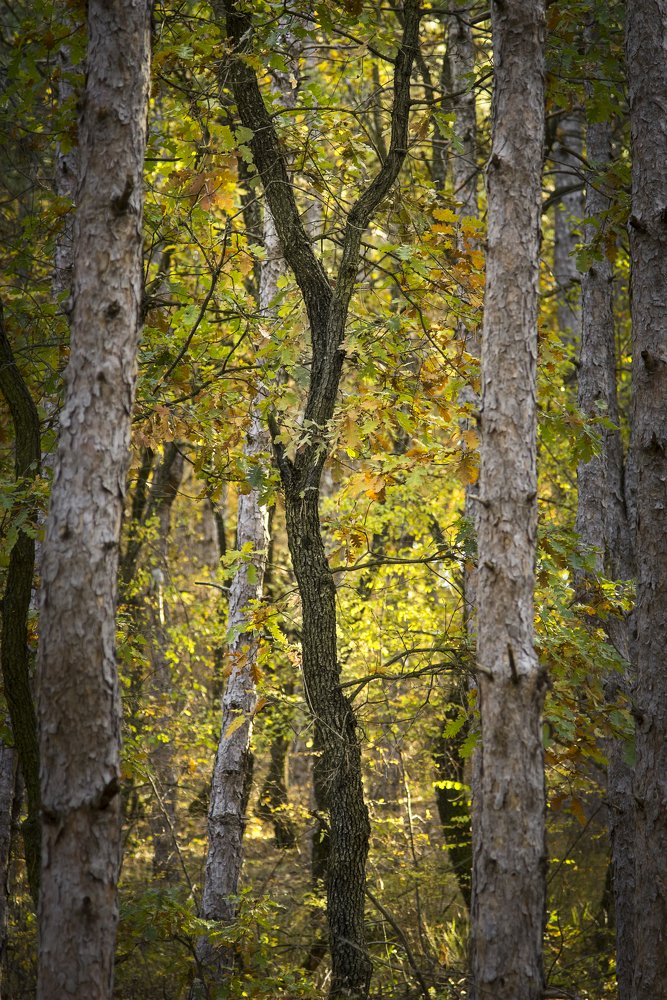 Photograph by Mariq Georgieva