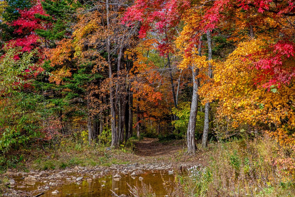 Photograph by Иван Радьков